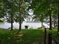 Property photo 59