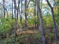 Property photo 51