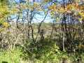 Property photo 54