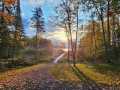 Property photo 60