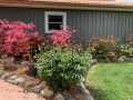 Property photo 49