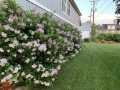 Property photo 58