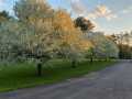 Property photo 43