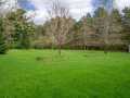 Property photo 53