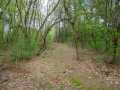 Property photo 55