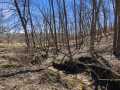 Property photo 44