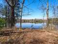 Property photo 58