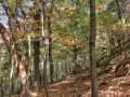 Property photo 48