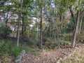 Property photo 50