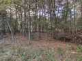 Property photo 51