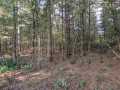 Property photo 52