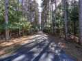 Property photo 58