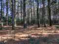 Property photo 59