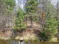 Property photo 51
