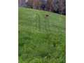 Property photo 57