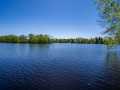 Property photo 51