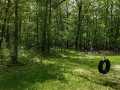 Property photo 44
