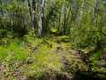 Property photo 48