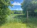 Property photo 50