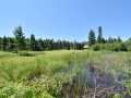 Property photo 54