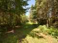 Property photo 60