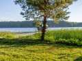 Property photo 51