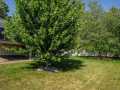 Property photo 45