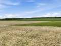 Property photo 58