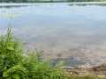 Property photo 53