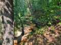 Property photo 50
