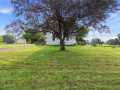 Property photo 55