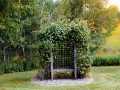 Property photo 48