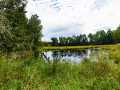 Property photo 60