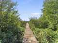 Property photo 52