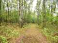 Property photo 49