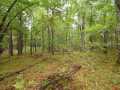 Property photo 50