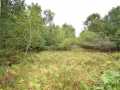 Property photo 51