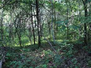Property photo 36