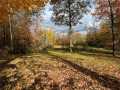 Property photo 44