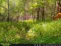 Property photo 50