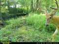 Property photo 53