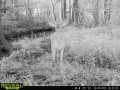 Property photo 54