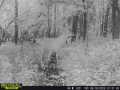 Property photo 56