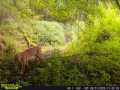 Property photo 58