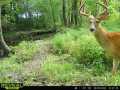 Property photo 59