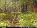 Property photo 60