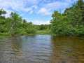 Property photo 53