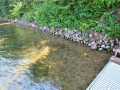 Property photo 58