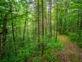 Property photo 54