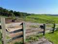 Property photo 59